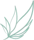 natissea 2023 site internet pictogrammes feuille verte