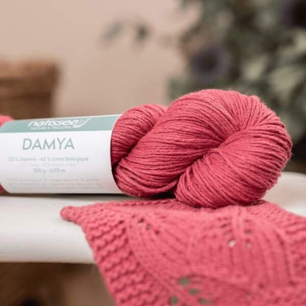 damya framboise