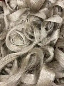 com blog 202309 fibres longues lin francais.png