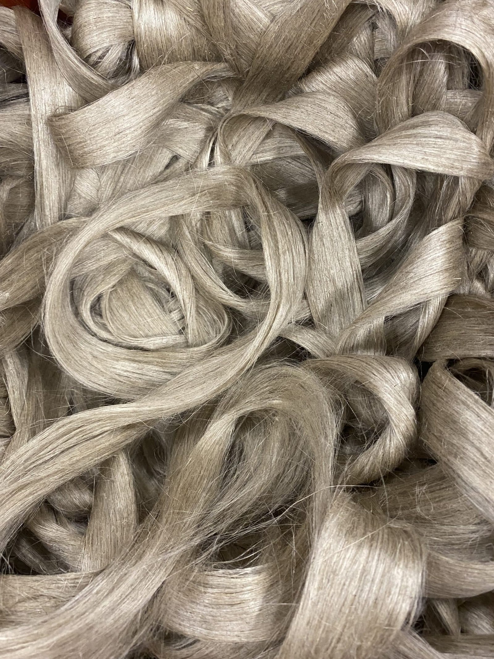com blog 202309 fibres longues lin francais.png