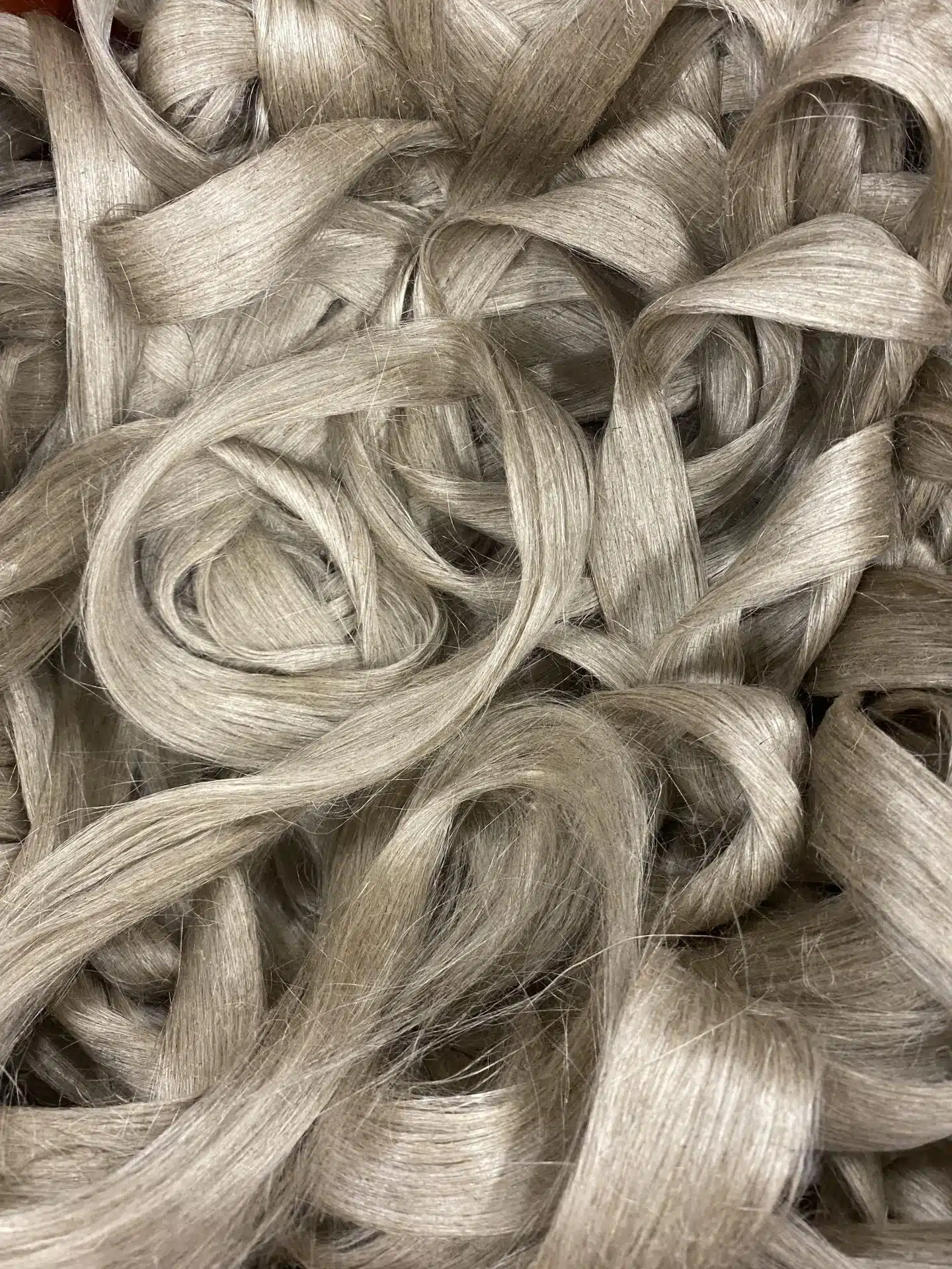 com blog 202309 fibres longues lin francais.png